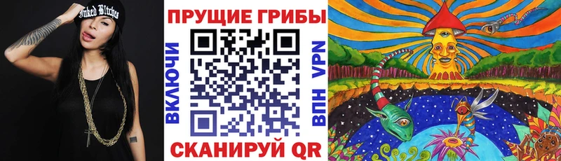 даркнет телеграм  Барабинск  Псилоцибиновые грибы MAGIC MUSHROOMS 